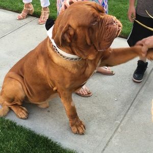 Meet your Posher, Gioia